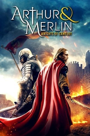 Watch Free Arthur & Merlin: Knights of Camelot (2020)