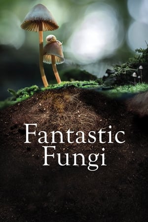 Watch Free Fantastic Fungi (2019)