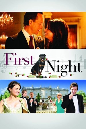 Watch Free 1st Night (2010)