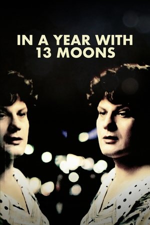 Watch Free In a Year with 13 Moons (1978)