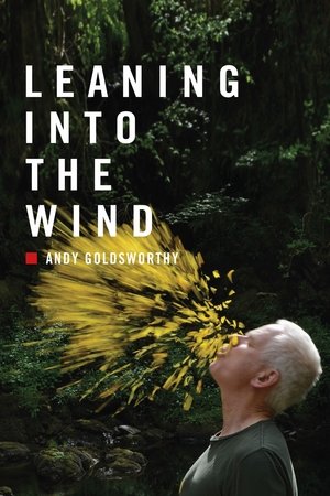 Watch Free Leaning Into the Wind: Andy Goldsworthy (2017)