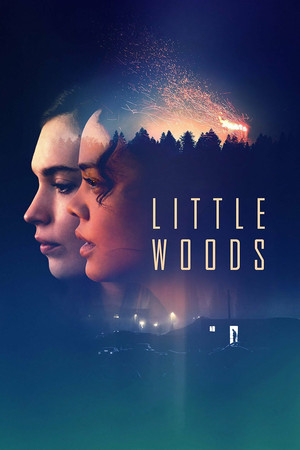 Watch Free Little Woods (2018)