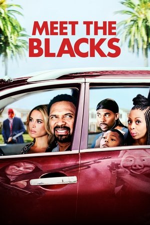 Watch Free Meet the Blacks (2016)