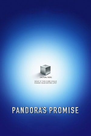 Watch Free Pandoras Promise (2013)