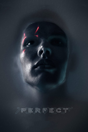 Watch Free Perfect (2018)