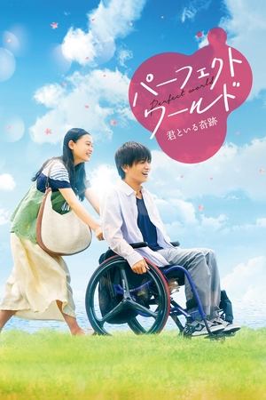 Watch Free Perfect World (2018)