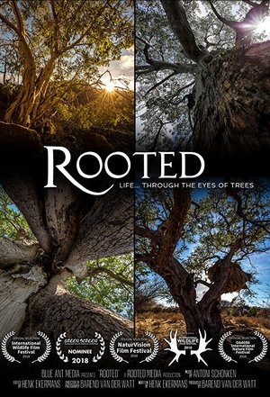Watch Free Rooted (2018)