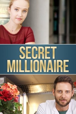 Watch Free Secret Millionaire (2018)