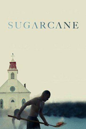 Watch Free Sugarcane (2024)