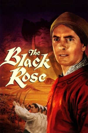 Watch Free The Black Rose (1950)