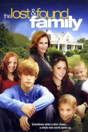 Watch Free The Lost & Found Family (2009)