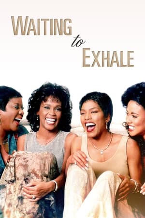 Watch Free Waiting to Exhale (1995)
