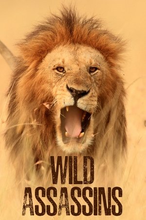 Watch Free Wild Assassins (2023-)