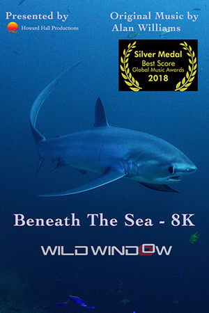Watch Free Wild Window: Beneath the Sea (2018)