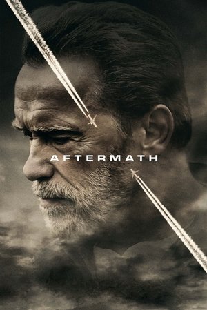 Watch Free Aftermath (2017)