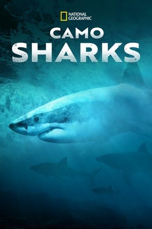Watch Free Camo Sharks (2022)