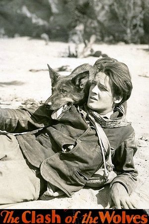Watch Free Clash of the Wolves (1925)