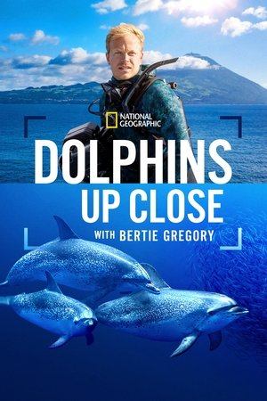 Watch Free Dolphins Up Close with Bertie Gregory (2025)