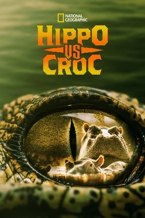 Watch Free Hippo vs Croc (2014)