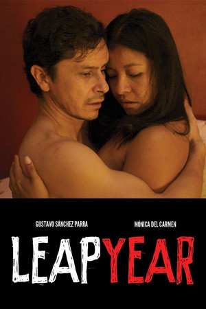 Watch Free Leap Year (2010)