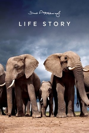 Watch Free Life Story (2014 )