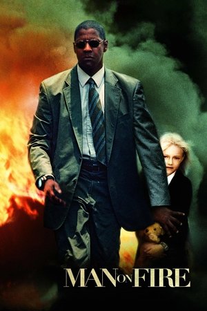 Watch Free Man on Fire (2004)