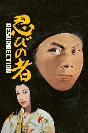 Watch Free Shinobi No Mono 3: Resurrection (1963)