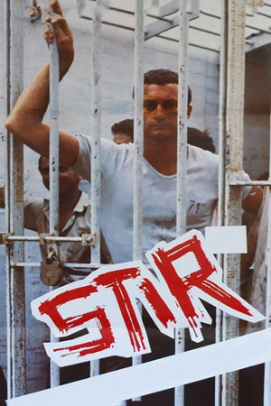 Watch Free Stir (1980)