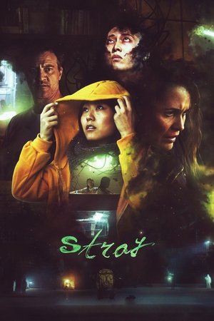 Watch Free Stray (2017)