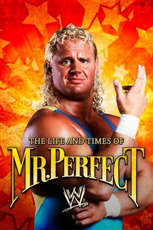 Watch Free The Life and Times of Mr Perfect (2008)