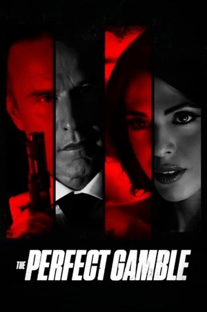 Watch Free The Perfect Gamble (2025)