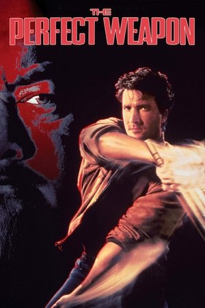 Watch Free The Perfect Weapon (1991)