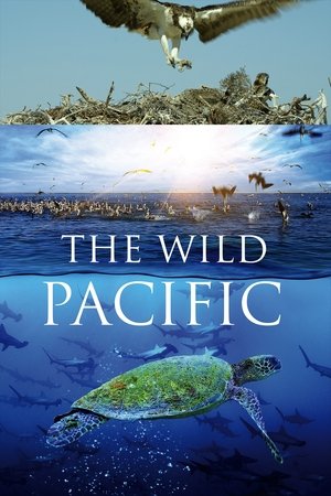 Watch Free The Wild Pacific (2016)