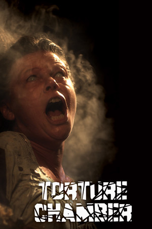 Watch Free Torture Chamber (2013)