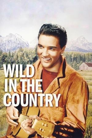 Watch Free Wild in the Country (1961)