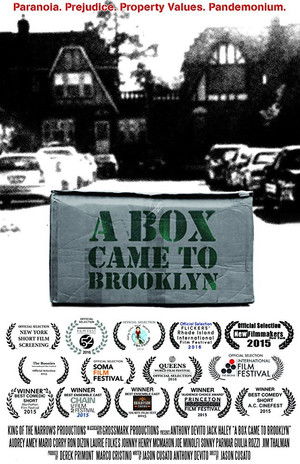 Watch Free A Box Came to Brooklyn (2015)