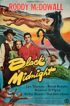Watch Free Black Midnight (1949)
