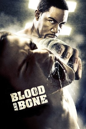 Watch Free Blood and Bone (2009)
