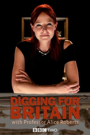 Watch Free Digging for Britain (2010-)