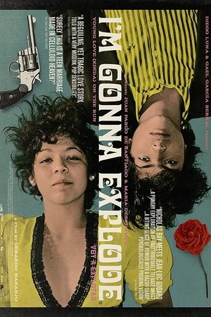 Watch Free Im Gonna Explode (2008)