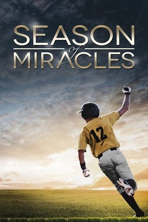 Watch Free Season of Miracles (2013)