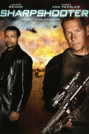 Watch Free Sharpshooter (2007)