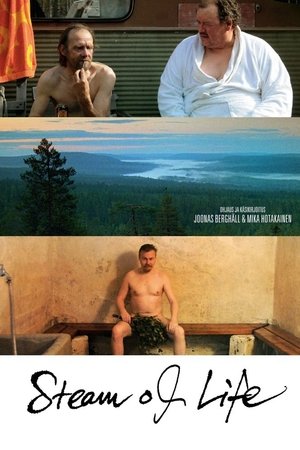 Watch Free Miesten vuoro (2010)