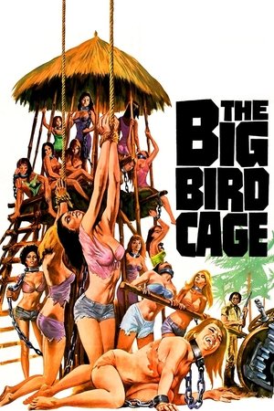 Watch Free The Big Bird Cage (1972)