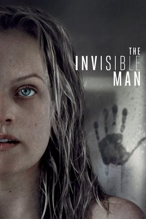 Watch Free The Invisible Man (2020)