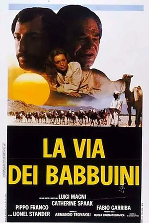 Watch Free La via dei babbuini (1974)