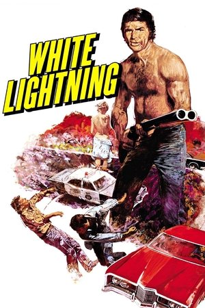 Watch Free White Lightning (1973)