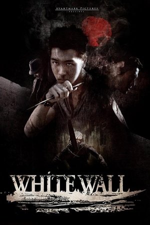 Watch Free White Wall (2010)