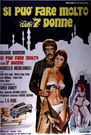 Watch Free Si può fare molto con 7 donne (1972)