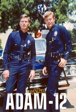 Watch Free Adam12 (19681975)